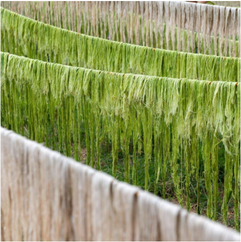 Processus pour textile d'ananas